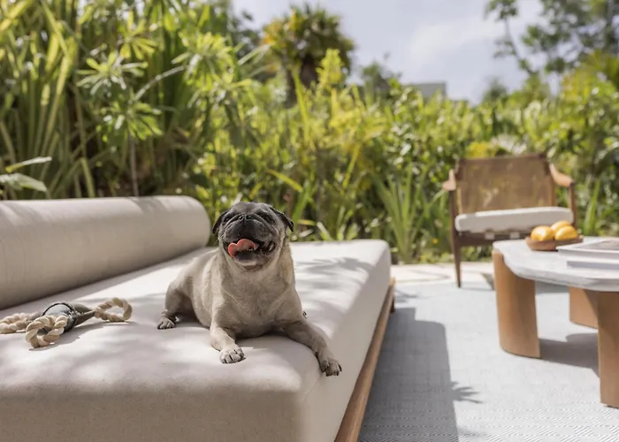 Alila Mayakoba By Hyatt 5*